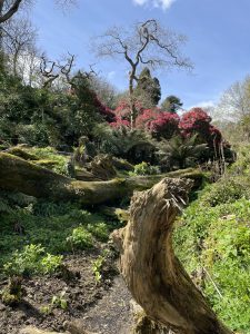 Spring Equinox