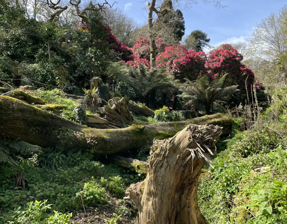 Spring Equinox